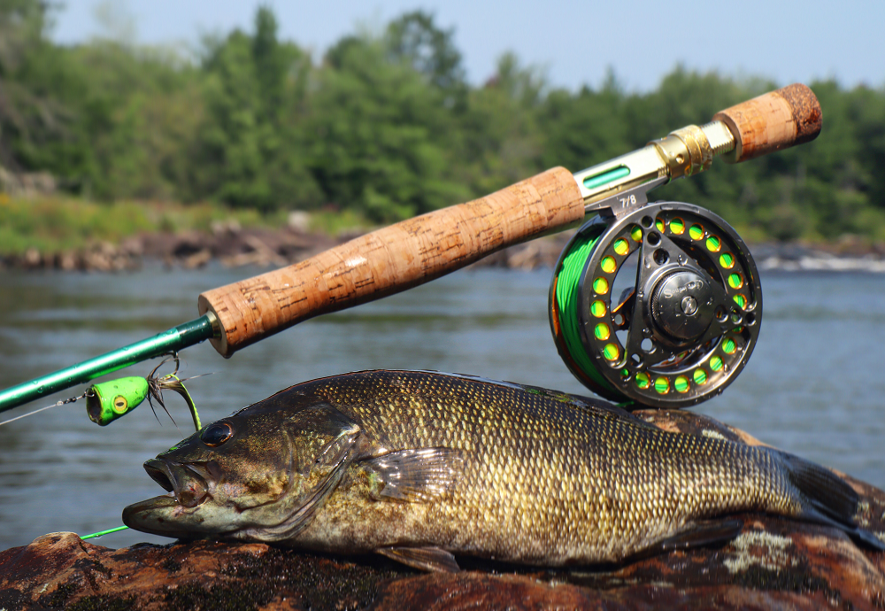 WOBBLO Fishing Rod and Reel Combo, Carbon Fiber Fishing Rod Kit